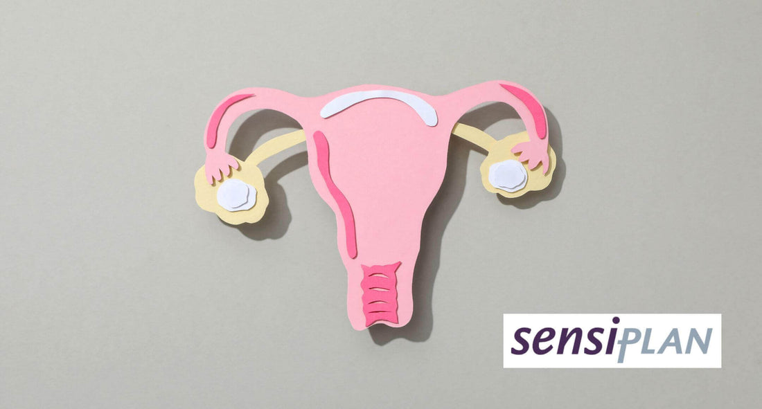 van cyclus tot conceptie: wat je moet weten over de eisprong - sensiplan