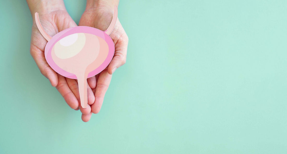 7 feiten en fabels over de blaas