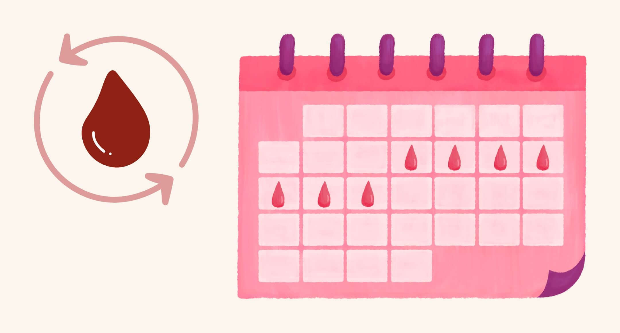 Waarom je cyclus onregelmatig kan zijn en hoe je dit kunt aanpakken