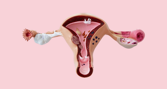De onzichtbare slagvelden van endometriose: de verhalen van Tamara en Shuhainy